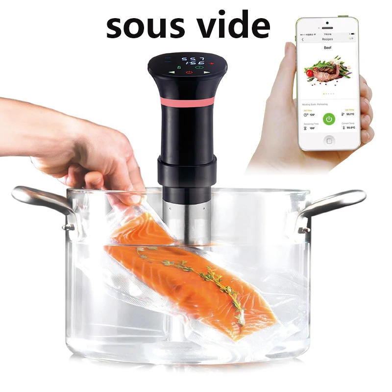 220V Sous Vide Precision Cooke - Sous Vide Immersion 评论和价格