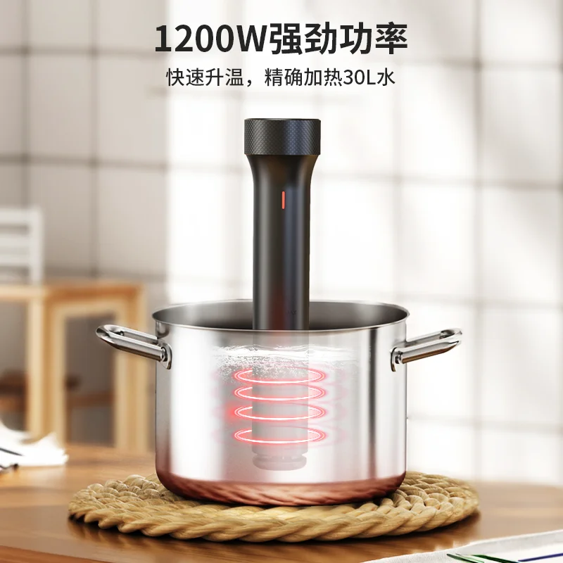 110V/220V WEVAC Sous Vide Prec - Sous Vide Immersion 评论和价格