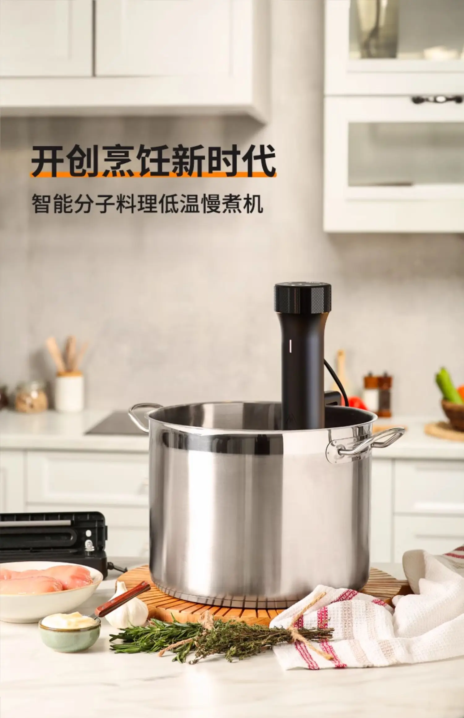 110V/220V WEVAC Sous Vide Prec - Sous Vide Immersion 评论和价格